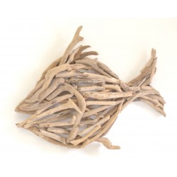 Driftwood Fish