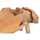 Coffee Table made from teak tree roots and finished in polished natural finish